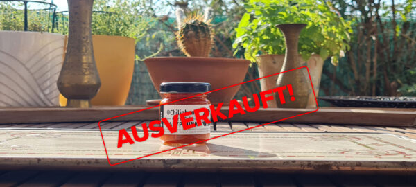 Label mit dem Text "Ausverkauft" liegt über dem Bild der Chilipaste Babyphunk. Das Bild: 1 Glas Chilipaste Chiliphunk Babyphunk mit 3 Sternen am Etikett, auf einem Holztisch; Dahinter ist unscharf der Gartenzaun und Kräutertöpfe am Tisch. In der Mitte ein Kaktus, zwei kleine Messingvasen links und rechts.